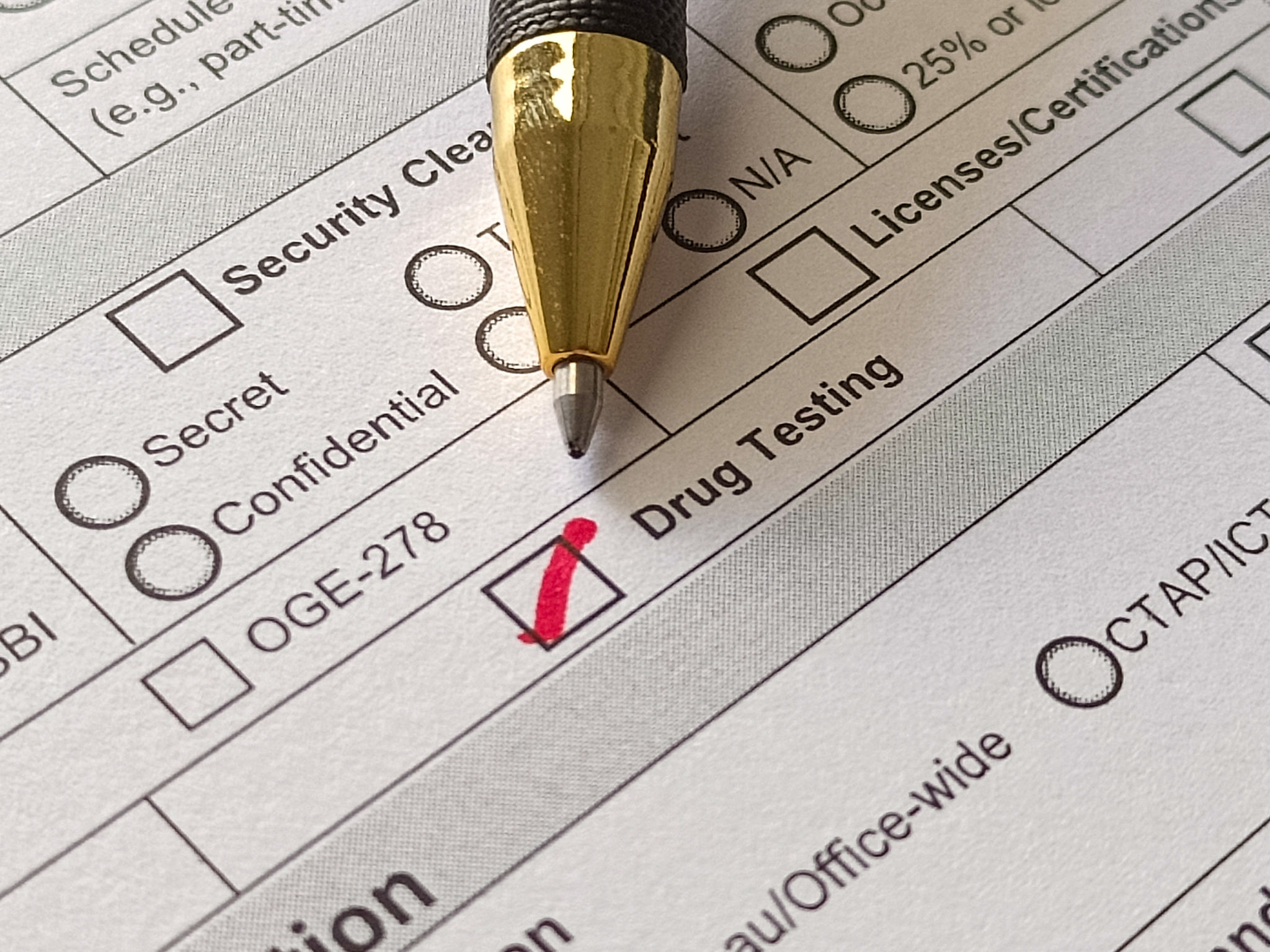 dot drug test what is it
